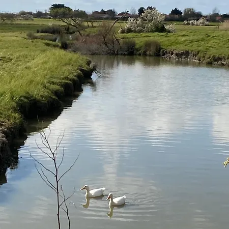 La Maison Des Marais De Vakantiehuis *