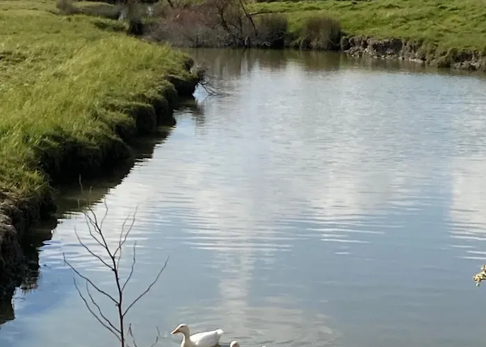 La Maison Des Marais De Casa de Férias *